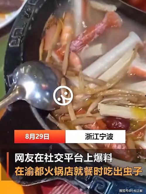 宁波爆料吃虫子案件最新,真相揭露与食品安全警钟长鸣